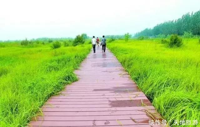 盘点洛阳八大最美露营地，闲暇来一次浪漫旅游