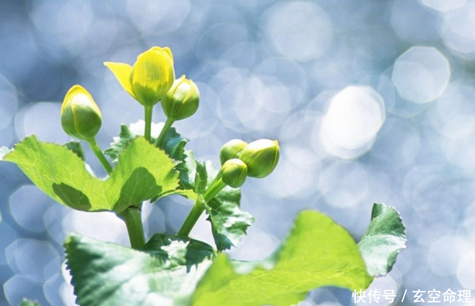 这个时辰出生的女人旺夫之命，嫁给谁旺谁