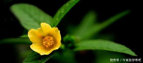 非常经典的句子,看人长处、帮人难处、记人好