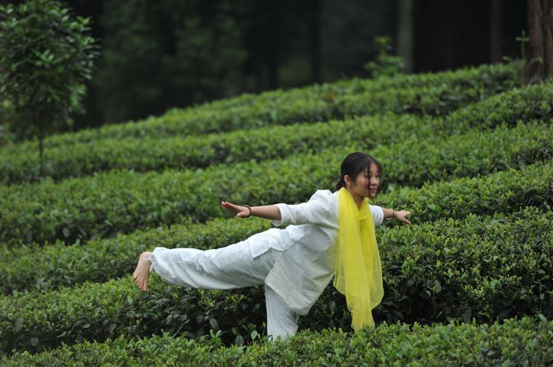 贵州凤岗人口有多少_贵州人口分布地图