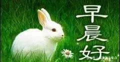早安v动态语祝福语动态大全早安大人表情集锦表情包冤枉图片