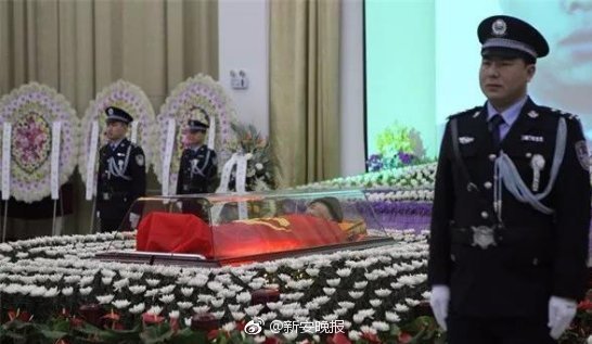 t01a04435c6466c45f5.jpg?size=546x317