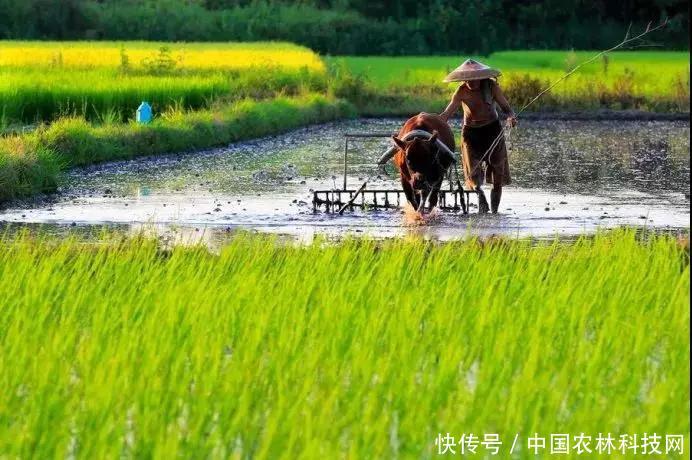 2018国家3000亿扶持乡村旅游振兴计划!