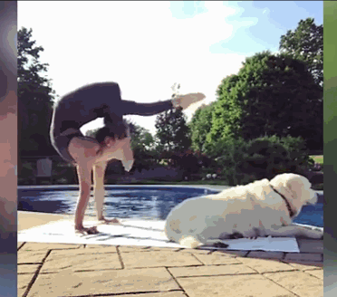 女主人练高难瑜伽 