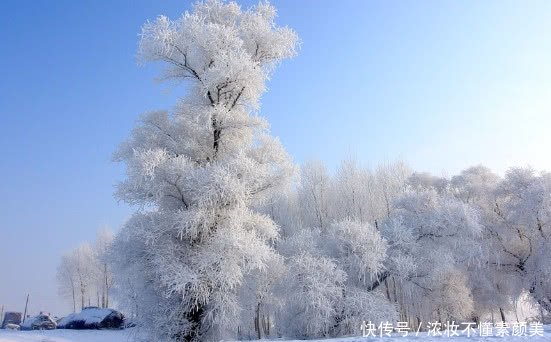 东北人冬天如何卖鱼?只有你想不到的,没有东北