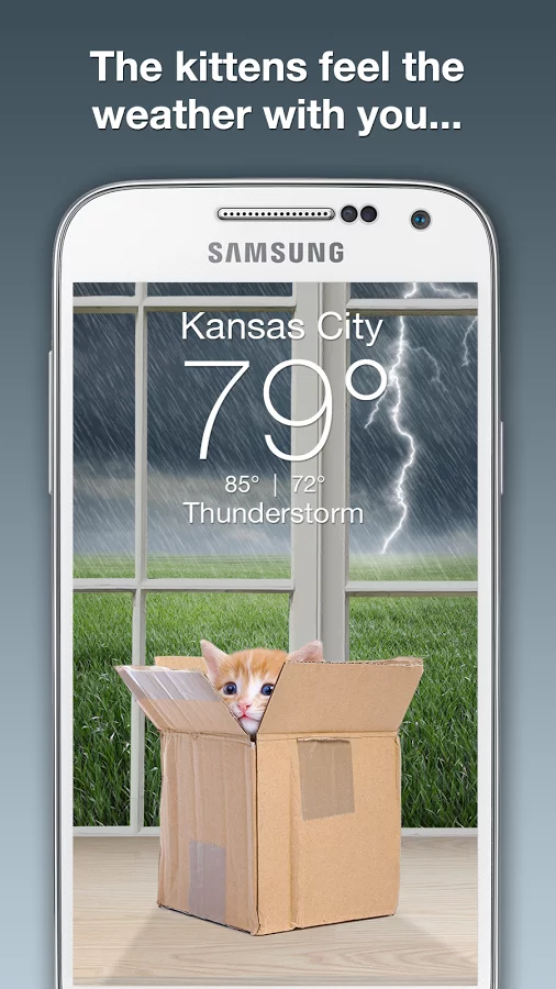 Weather Kitty截图4