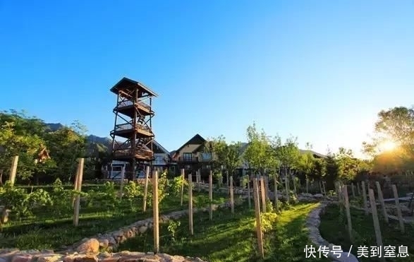 清明小长假天津人都去哪玩?天津周边这地方美