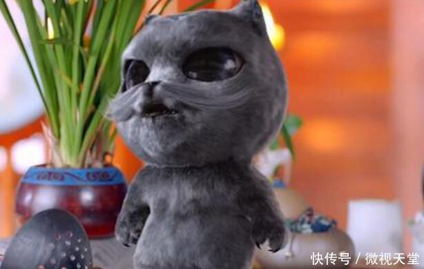 影视剧中的萌宠,糖宝、胡巴、小白,哪只想牵回