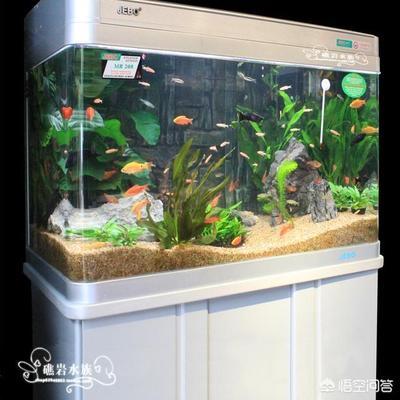 內(nèi)江水族店（內(nèi)江水族館）