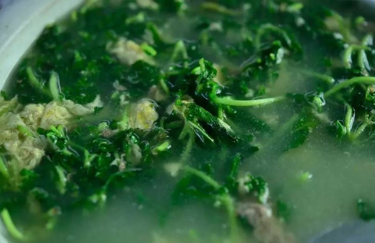 流口水!德宏这些野菜里,藏着春天的味道!