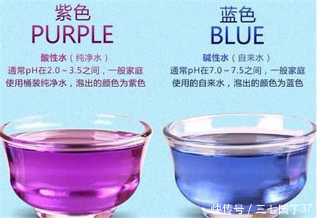 黑枸杞的功效与作用,黑枸杞泡水颜色变化的真