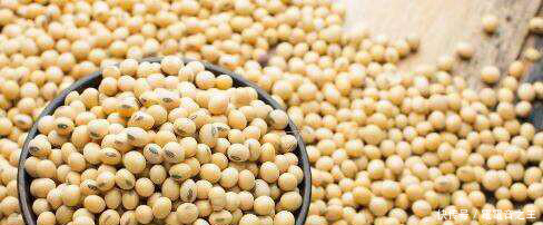 远嫁后每次回娘家,母亲都会给我一袋黄豆,三年后全部打开我傻了