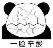 t01a63a8b272873272a.jpg?size=185x167