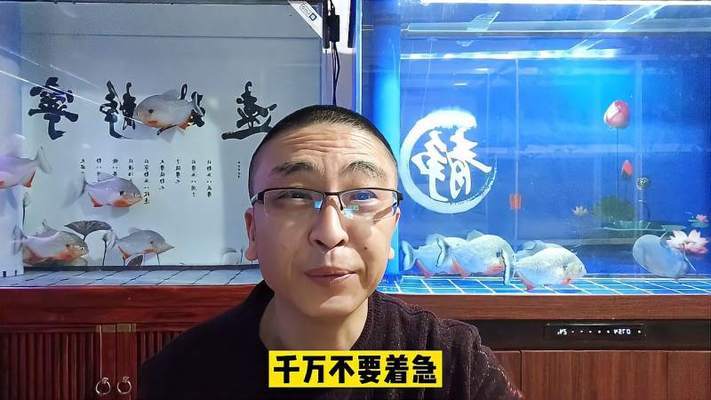 觀賞魚賺錢（觀賞魚賺錢嗎） 觀賞魚市場（混養(yǎng)魚）