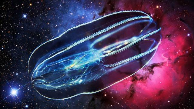 宇宙怪兽?来自数几十亿前的人类猜想