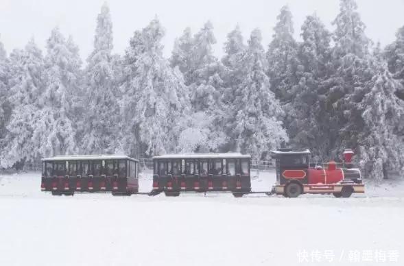 t01a81ab784ca29a5f0.jpg?size=589x388