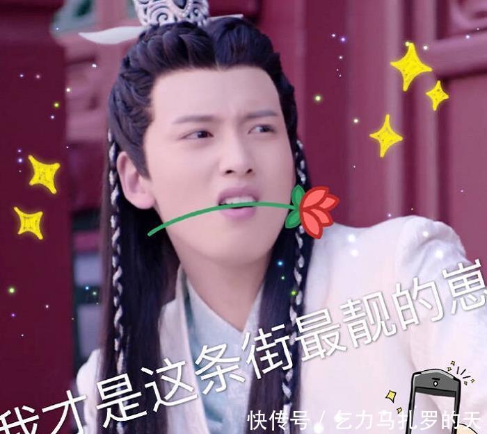 《双世图片2》新鲜出炉的陈宥维表情,与p上图片想感动字带的的表情宠妃哭大全包图片