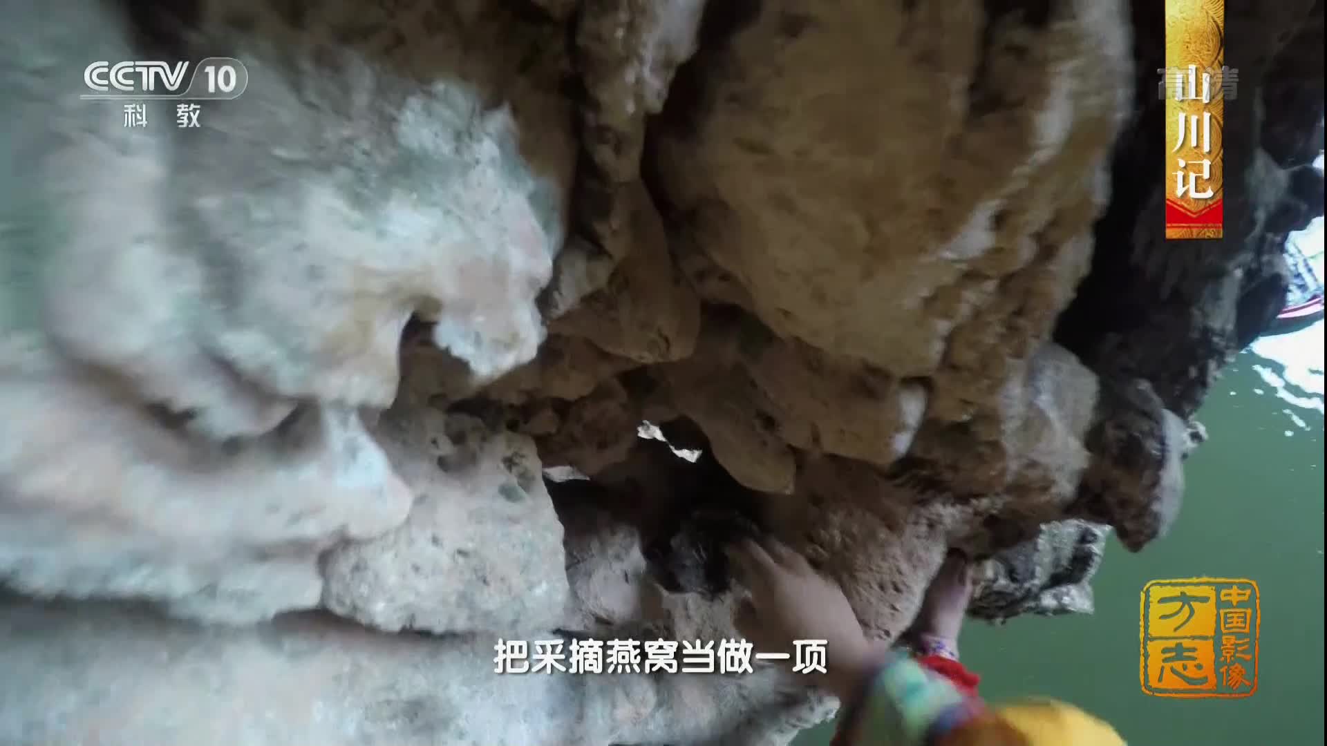 胆小勿入,真人峭壁采燕窝,危险与优雅共存,已成特色表演