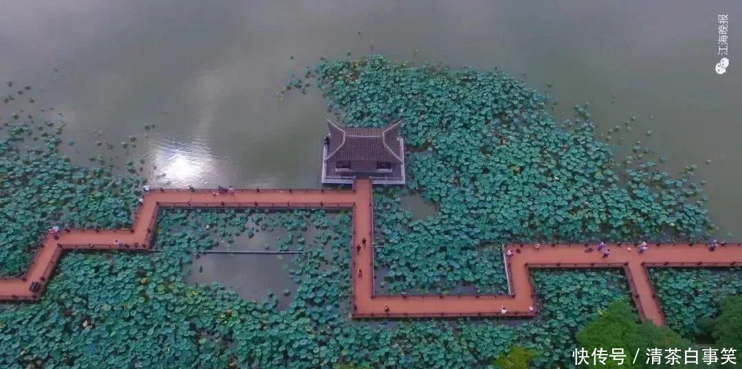 2019年, 南通将发生这么多大事! 件件与你密切