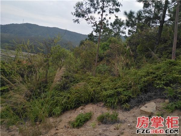 金辉集团获惠阳地块 碧桂园再拿惠东3宗纯住宅地