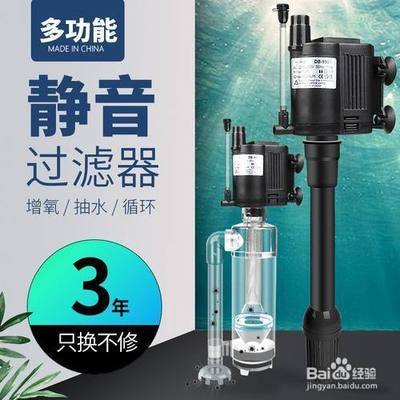 最贵淡水观赏鱼排行（最贵淡水观赏鱼排行榜）