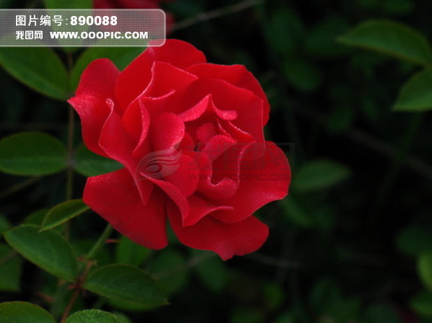 t01abc2d48c55e8d9d9.jpg