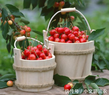 t01ac247e700bbbc09d.png