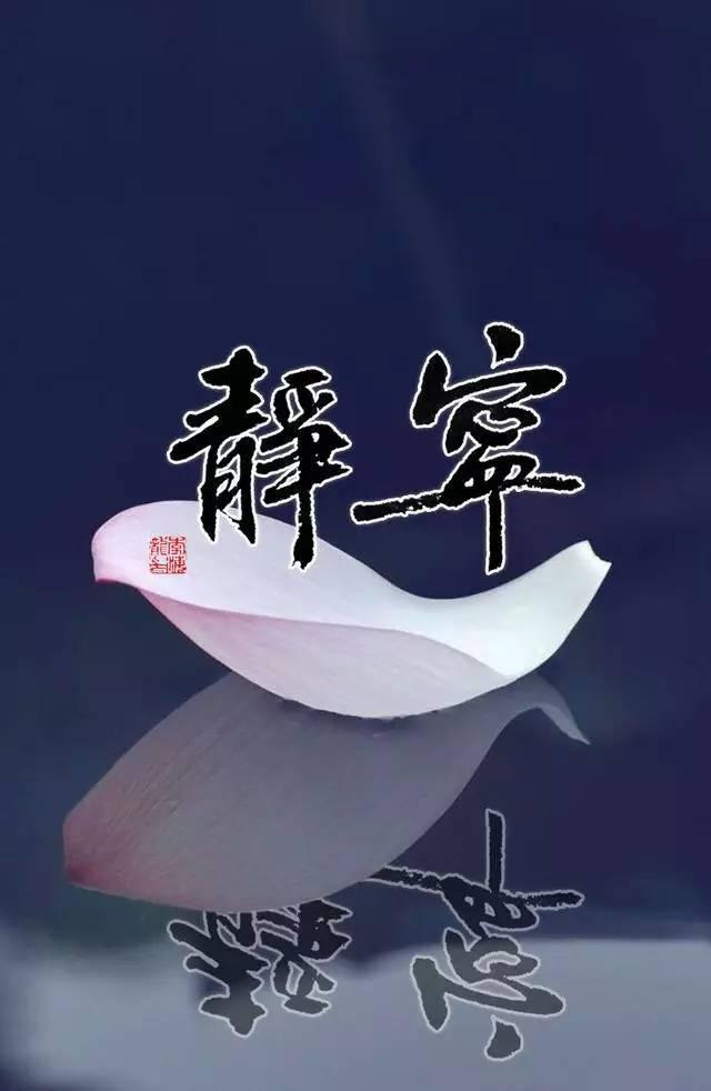 书法壁纸/屏保:君生我未生,我生君已老.