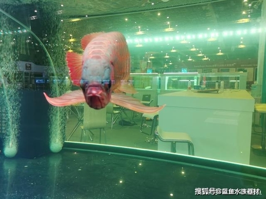 蘭州西固黃河漁具行（蘭州西固漁具店） 全國(guó)水族館企業(yè)名錄