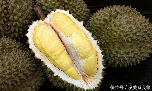 玉米肉好吃,榴莲壳也是个宝,拿它和乌骨鸡一起小麦吃香油榴莲用斑鸠一泡它爱吃吗图片