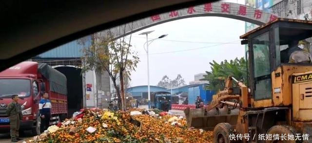 实拍桂林国道发生的一幕,10万吨水果遭遇滞销