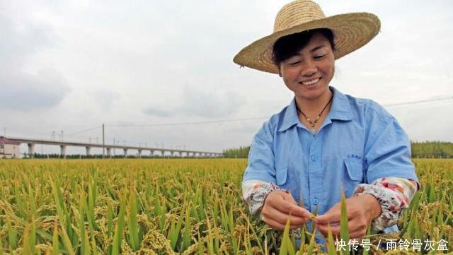 农村土地流转新政策