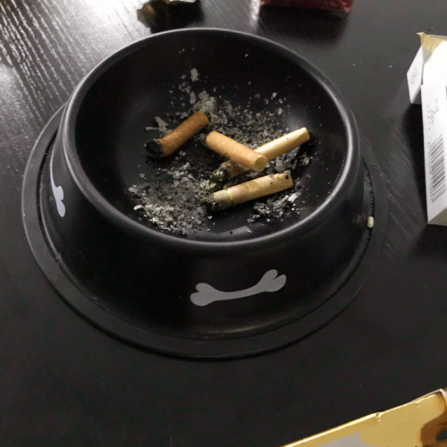 铲屎官用猫咪的碗当成烟灰缸,惹的喵主子大怒再也不想理你