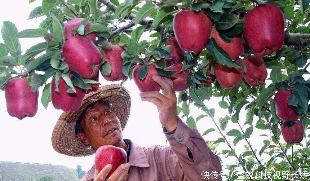 t01af2f2825602f0d2b.jpg?size=1000x584