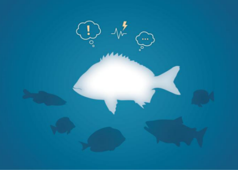 鱼也是有情绪?_360问答