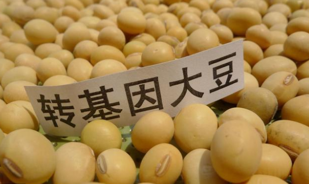 转基因食品对人体有4个危害,可惜还是很受人们