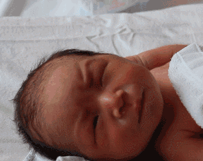 t01b0c2ec23ba3eb4ee.gif?size=294x233
