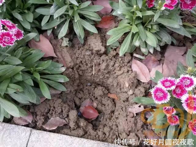 广西律师事务所排名