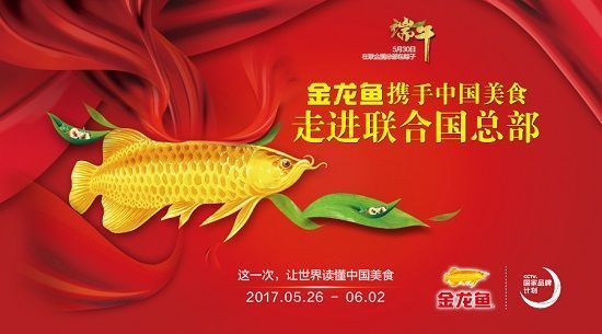 洛陽哪里有賣魚缸的地方？電話是多少？魚缸種類洛陽魚缸選擇要點