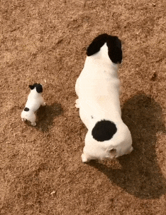 搞笑gif下雨天还用自己亲自洗车