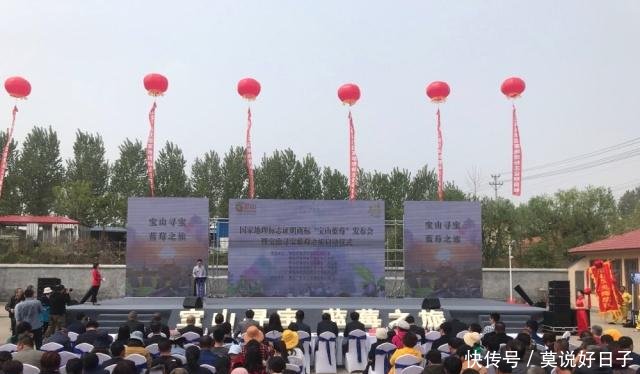 国家地理标志证明商标宝山蓝莓发布 青岛西海