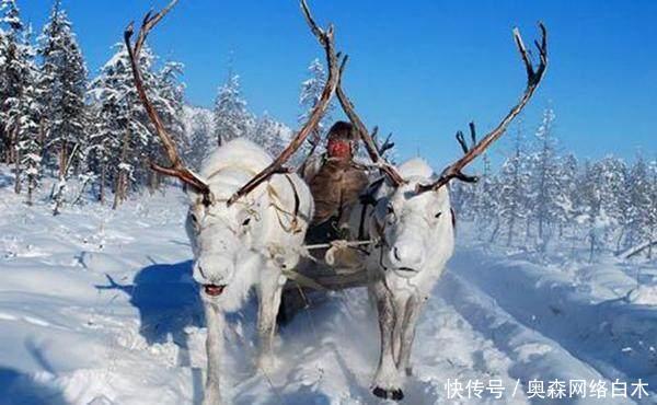 蒙古共和国面积和人口_中国唯一蒙古族藏族自治州庆祝建政60周年