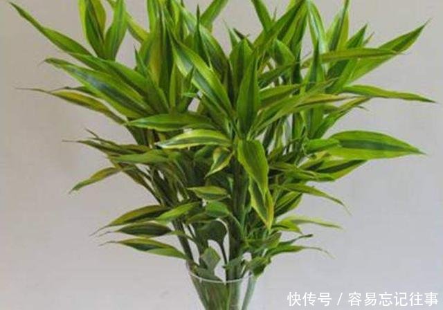 t01b51f812abae60715.jpg