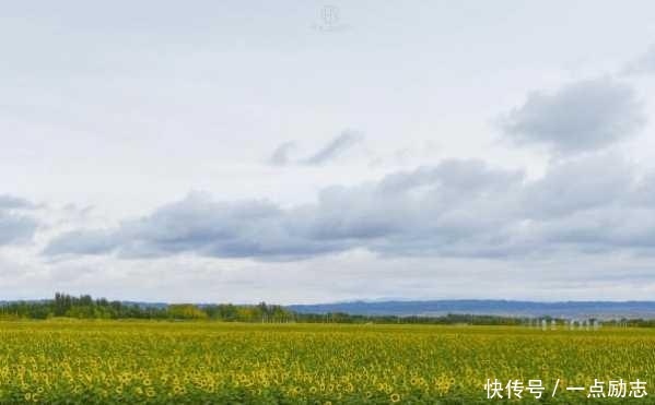 眼界的宽度, 决定你人生的高度