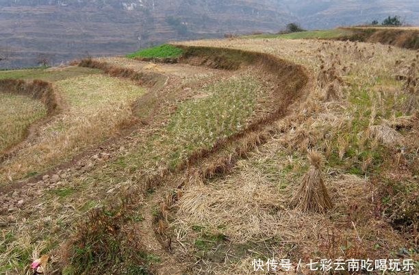 农民自己开荒多出来的地，在土地确权时怎么处理？这几点需要看看