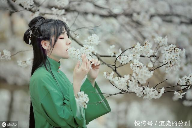 八年深情相伴,却换一身痛与伤秦浮轩,从此我们两不相欠了