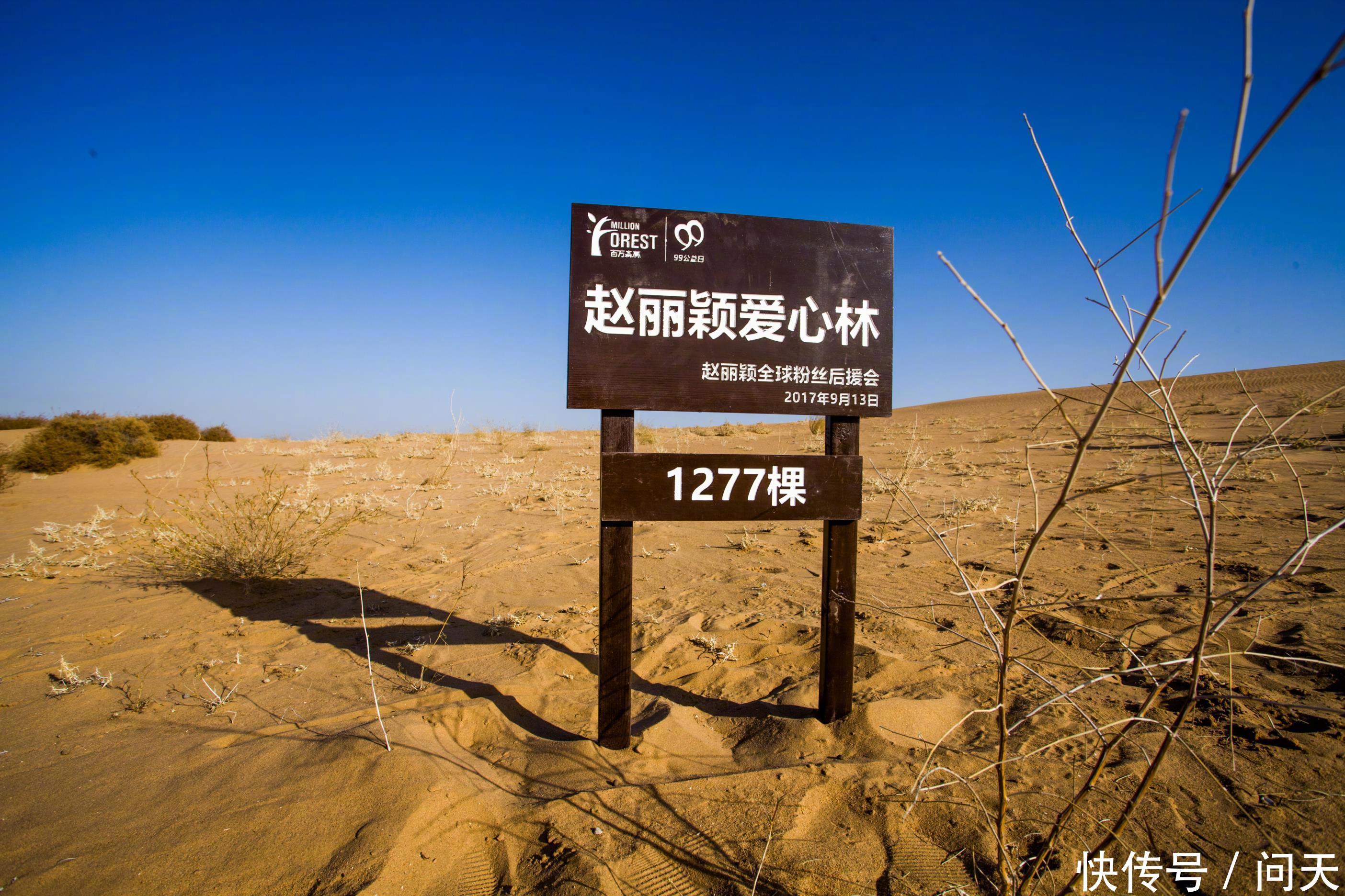 赵丽颖虽未参加微博之夜,但她还是拿下一个重