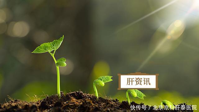 重磅消息!专利新药乐复能研制成功,乙肝患者