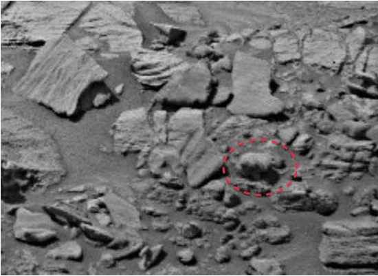 NASA好奇号火星车图像: 发现图像里的一头熊?