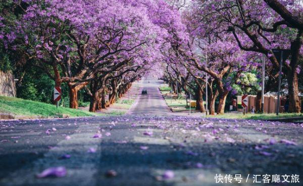 江一燕流连忘返的圣地，探险家的乐园，这个国度终于落地签啦！